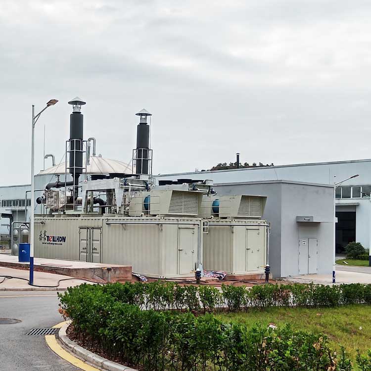 萬純餐廚垃圾沼氣機(jī)組脫硝設(shè)備在四川某電站圓滿通關(guān)